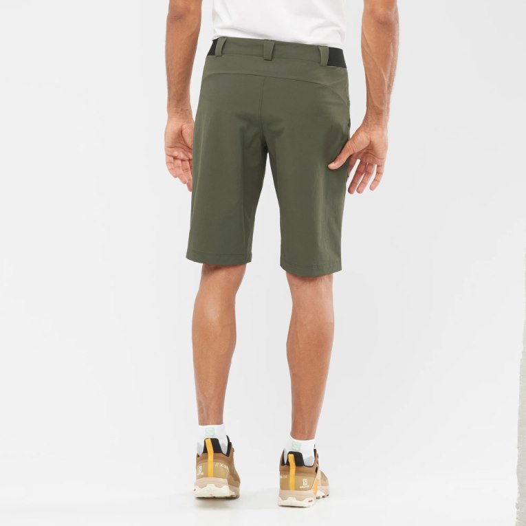 Bermudas Salomon Wayfarer Hombre Verde Oliva | MX BULF630